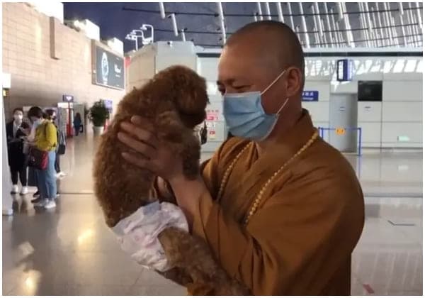 Cover Image for Buddhist Monk Spends His Life to Rescuing Many Stray Dogs